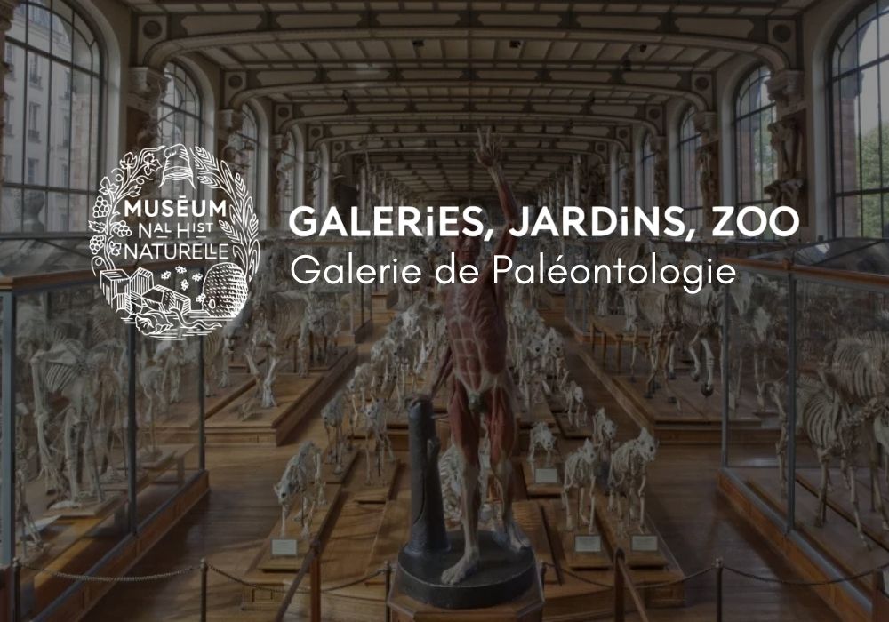 Galerie de Paléontologie, Jardin des Plantes